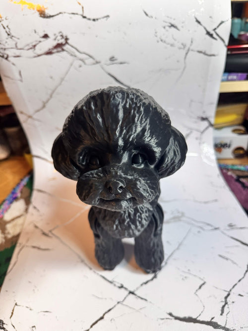 Giant Poodle