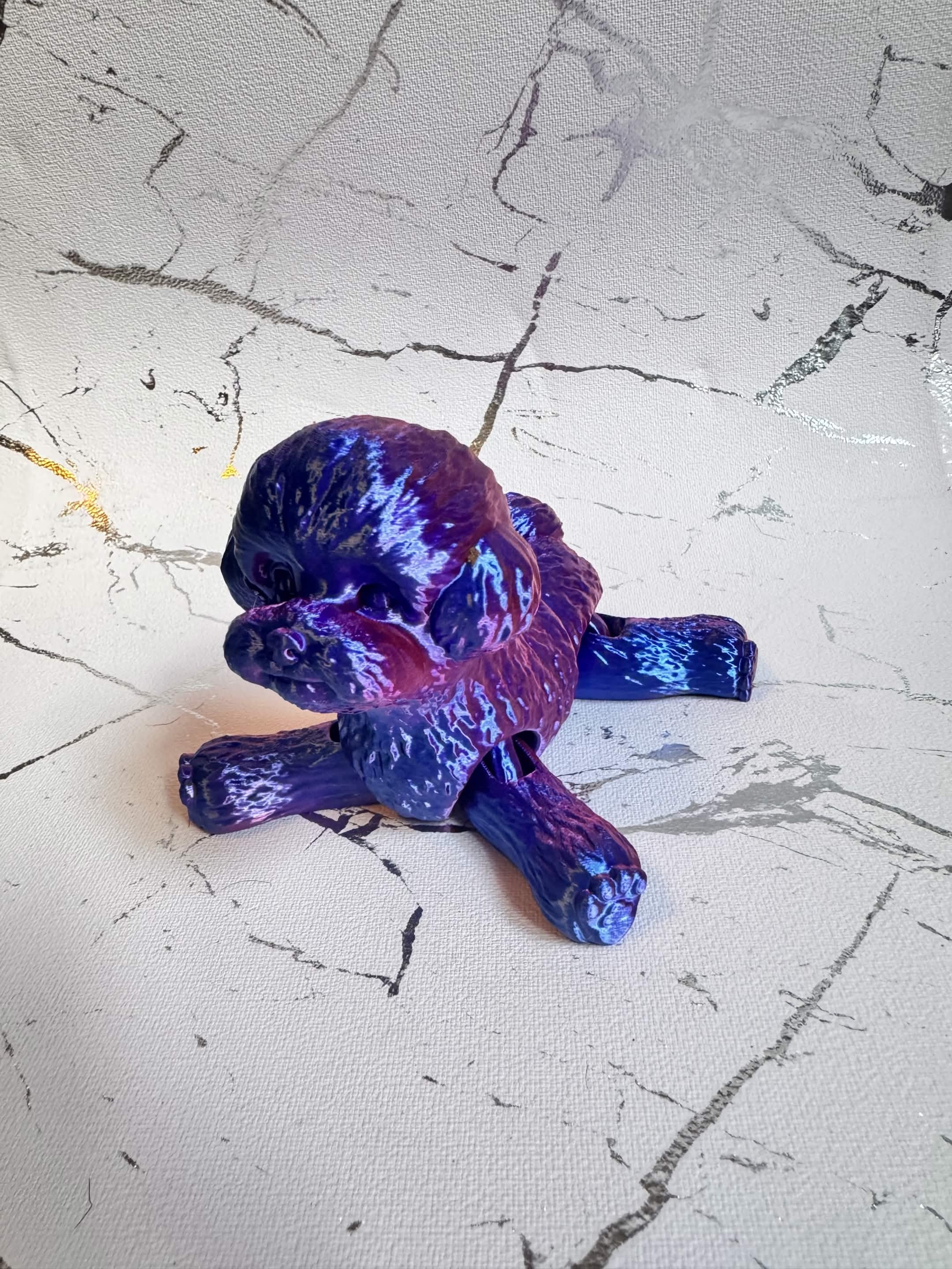 Medium Poodle